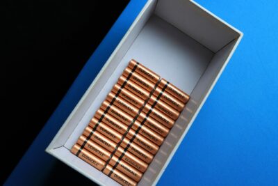 Stockage d’électricité : la plus grande batterie de France inaugurée près de Reims